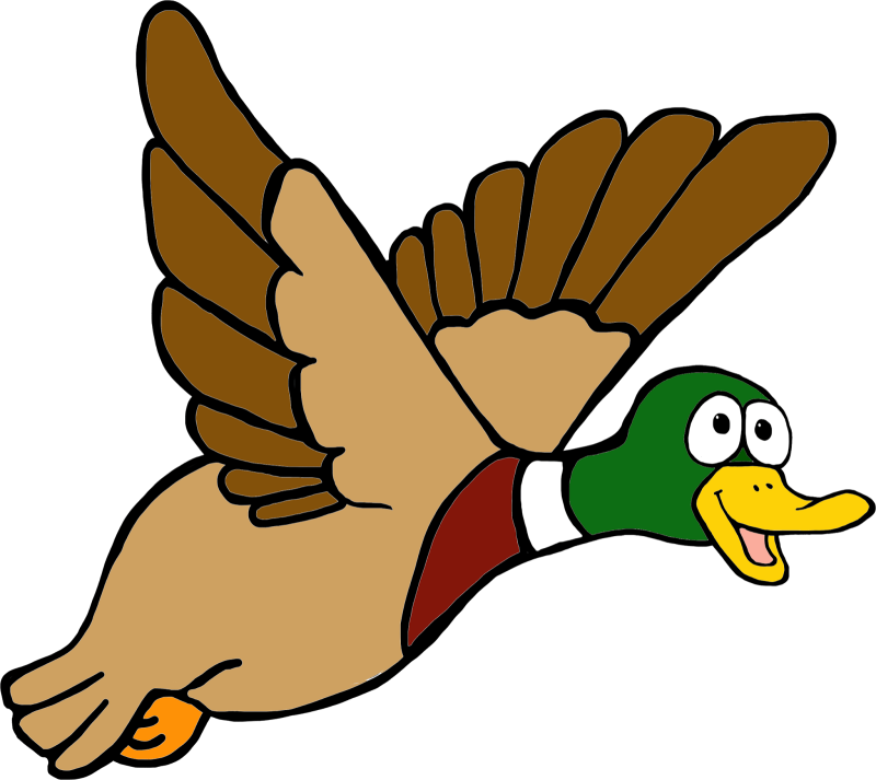 Duck Clipart Flying - Flying Duck Clipart Png (800x713), Png Download