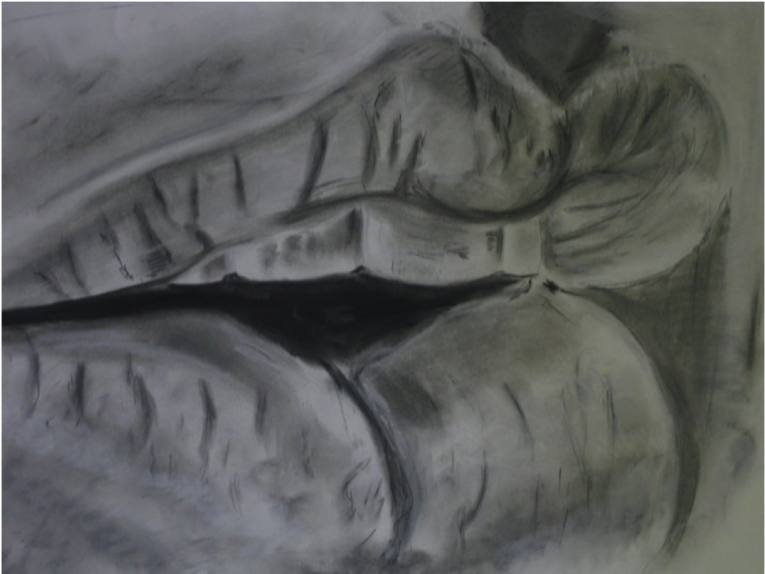 "notice" (1000x573), Png Download