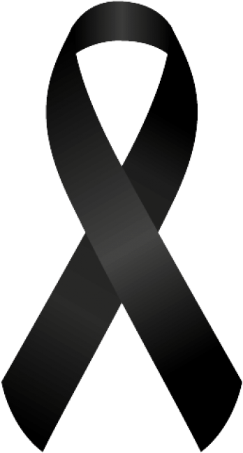 Desde Kidsbrain, Lamentamos Profundamente La Pérdida - Lazo De Luto Png (444x502), Png Download