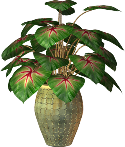 Pot Plant Clipart Transparent - Flower Plants In Pot Png (424x500), Png Download