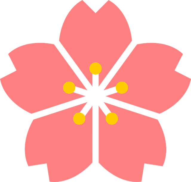 Japanese Png - Transparent Cherry Blossom Flower (640x610), Png Download