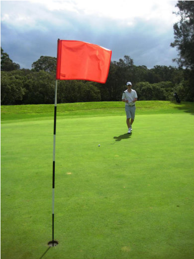 Golf Photo Gallery - Grass (784x522), Png Download