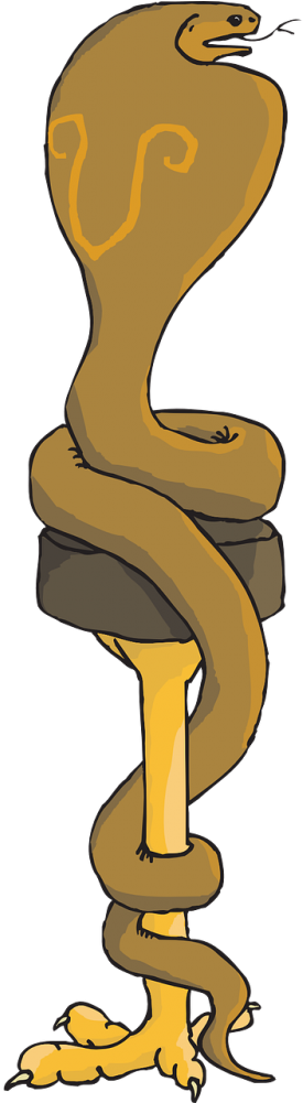 Vector - Serpent (500x1000), Png Download