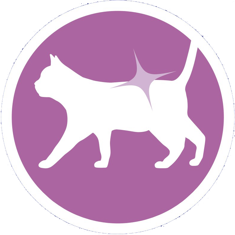 F03 One Cat Turkey Rice 800g - Cat (786x785), Png Download
