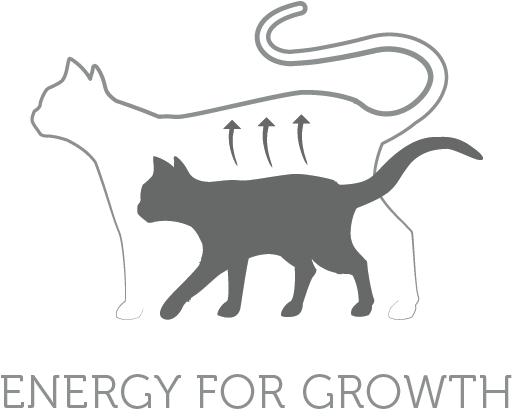 An Animal Protein And Fat Rich Formula, Blended With - Black Cat (591x591), Png Download