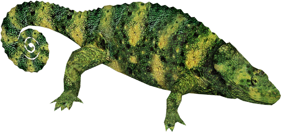 Images Diana Ho (944x944), Png Download