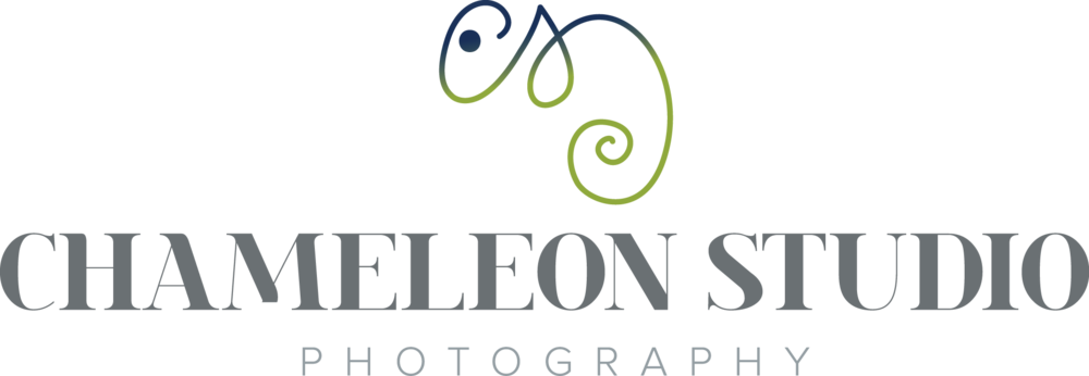 Chameleon Studio Photography (1000x346), Png Download