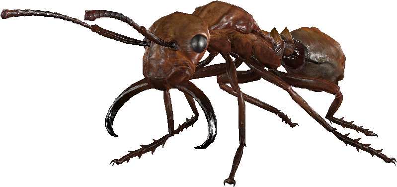 Overgrown Forager Ant - Macro Photography (904x480), Png Download