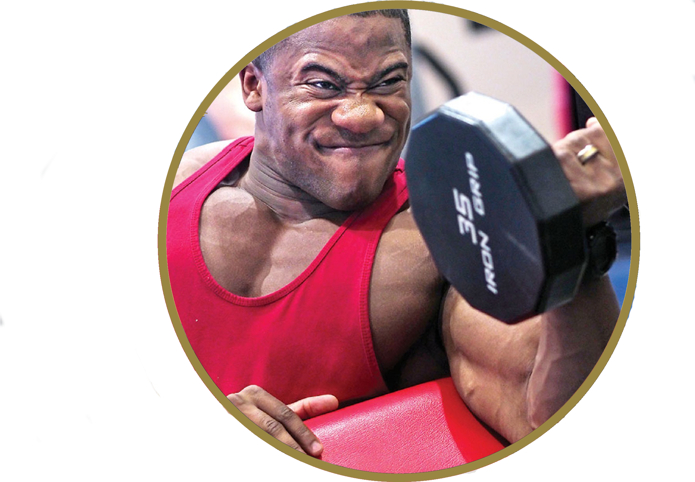 All The Benefits You Can Expect From A Quality Wellness (2373x1582), Png Download