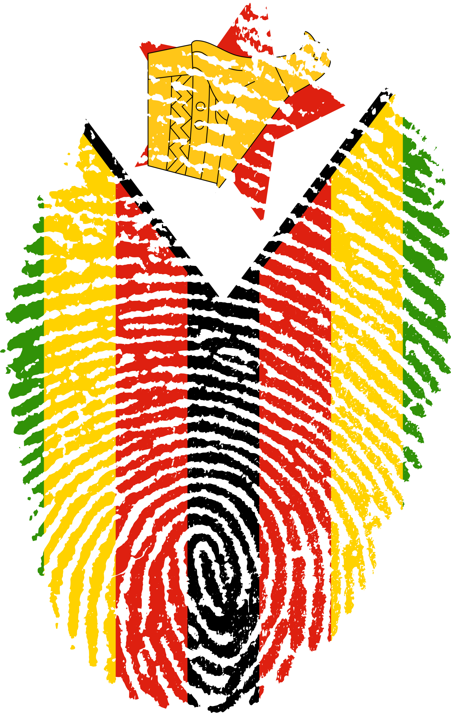 Zimbabwe Flag Fingerprint Country 654171 - Zimbabwe Flag (1573x2488), Png Download