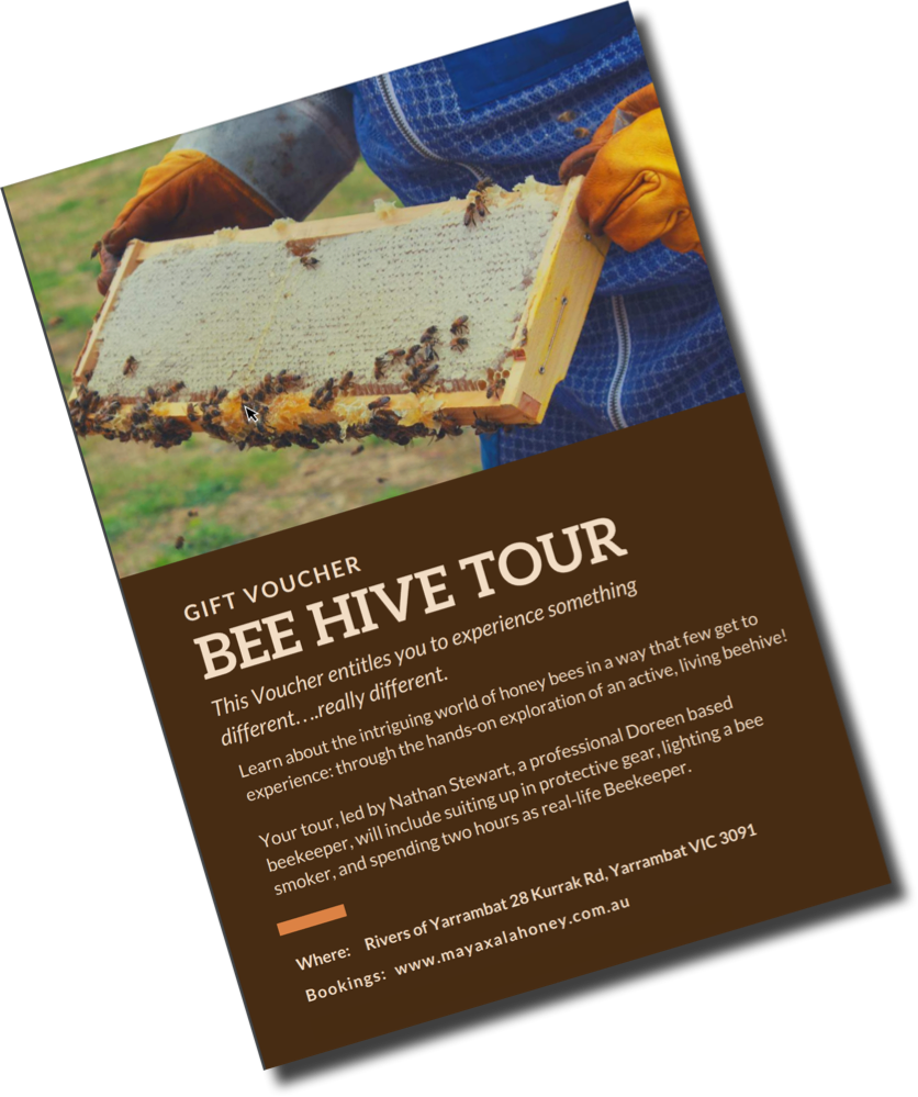 Beehive Tour - Flyer (836x999), Png Download