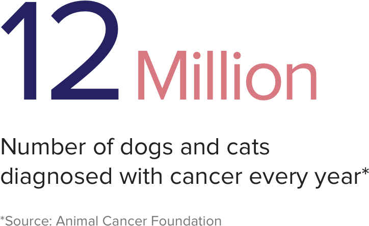 Insight-0303 - Trouble Maker (900x540), Png Download