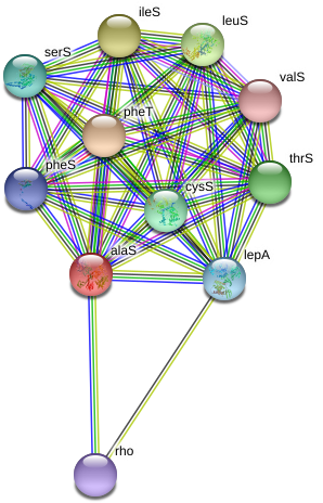 Circle (976x500), Png Download