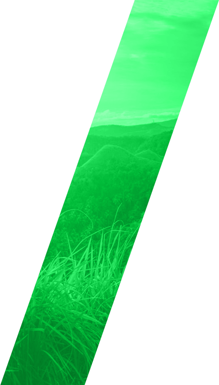 Home Insurance2 Slider Pic2 Total Access Elevator - Grass (427x750), Png Download