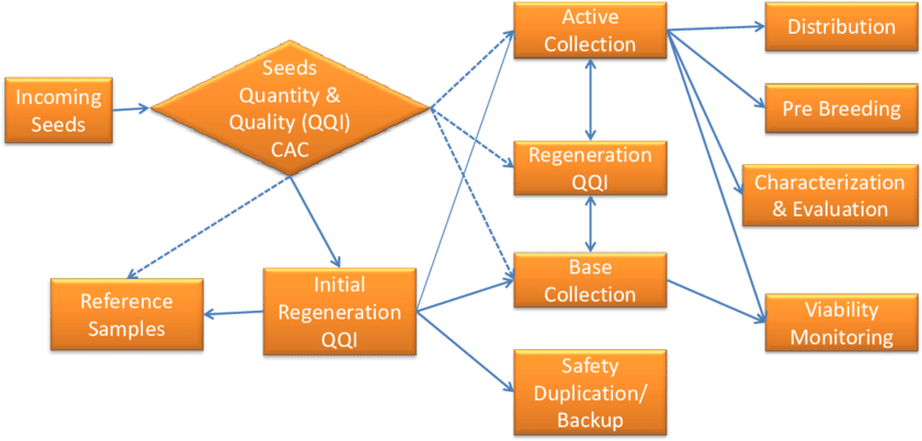 General System Of Seed Flows In National Genebank - Diagram (850x420), Png Download