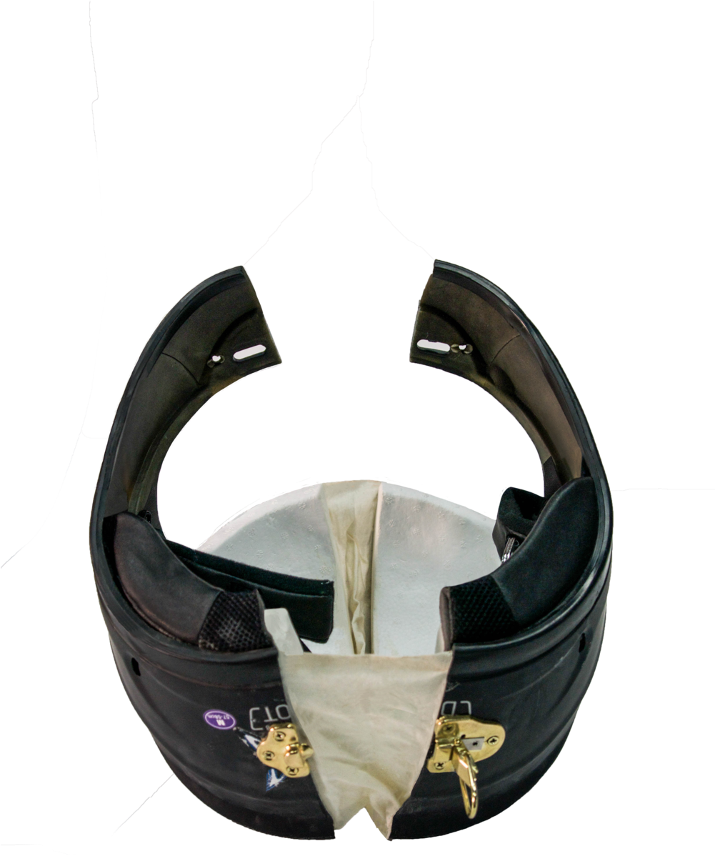 Dsc02890 - Handbag (1000x1505), Png Download