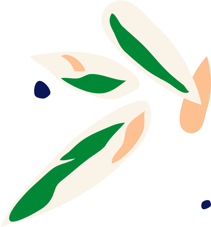 Buy Large, Potted Stromanthe Triostar Indoor Plant (923x1135), Png Download