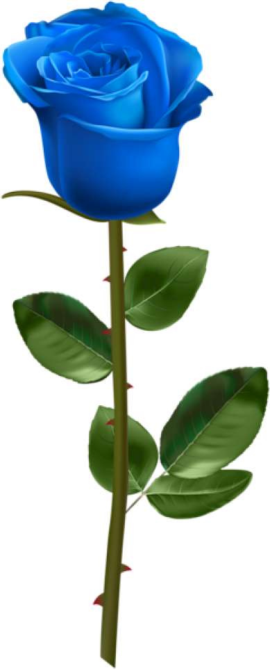 Rose Png, Download Png Image With Transparent Background, - Blue Rose With Stem (400x975), Png Download