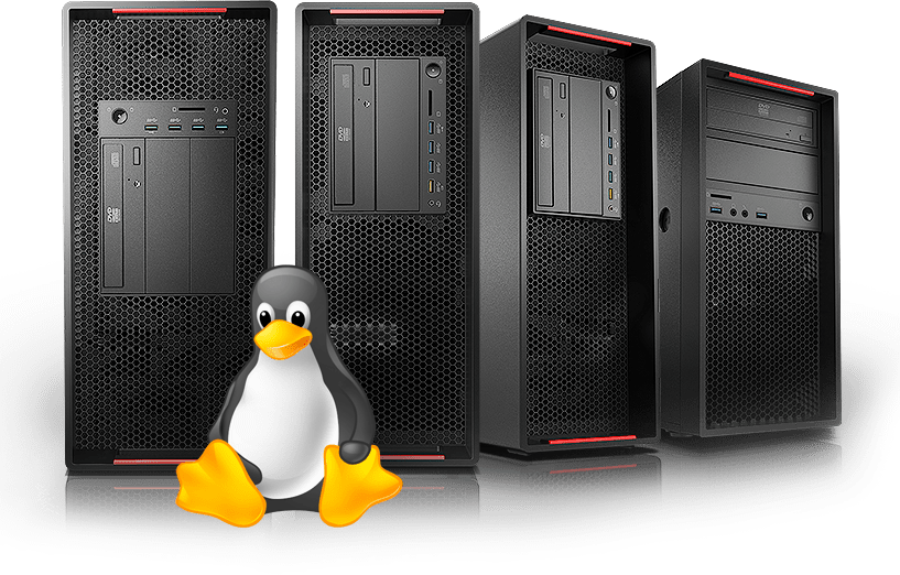 In Terms Of Server Technology, There Is One Name That - King Penguin (817x522), Png Download