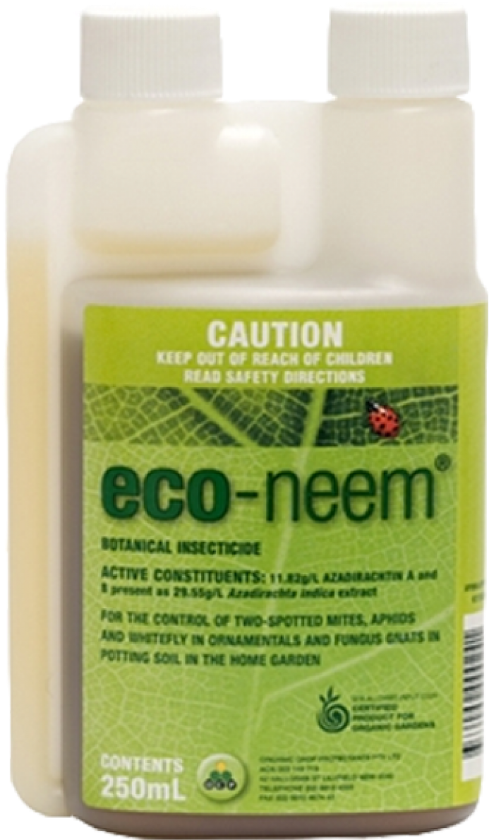 Eco Neem 100ml - Neem Tree (1200x1200), Png Download