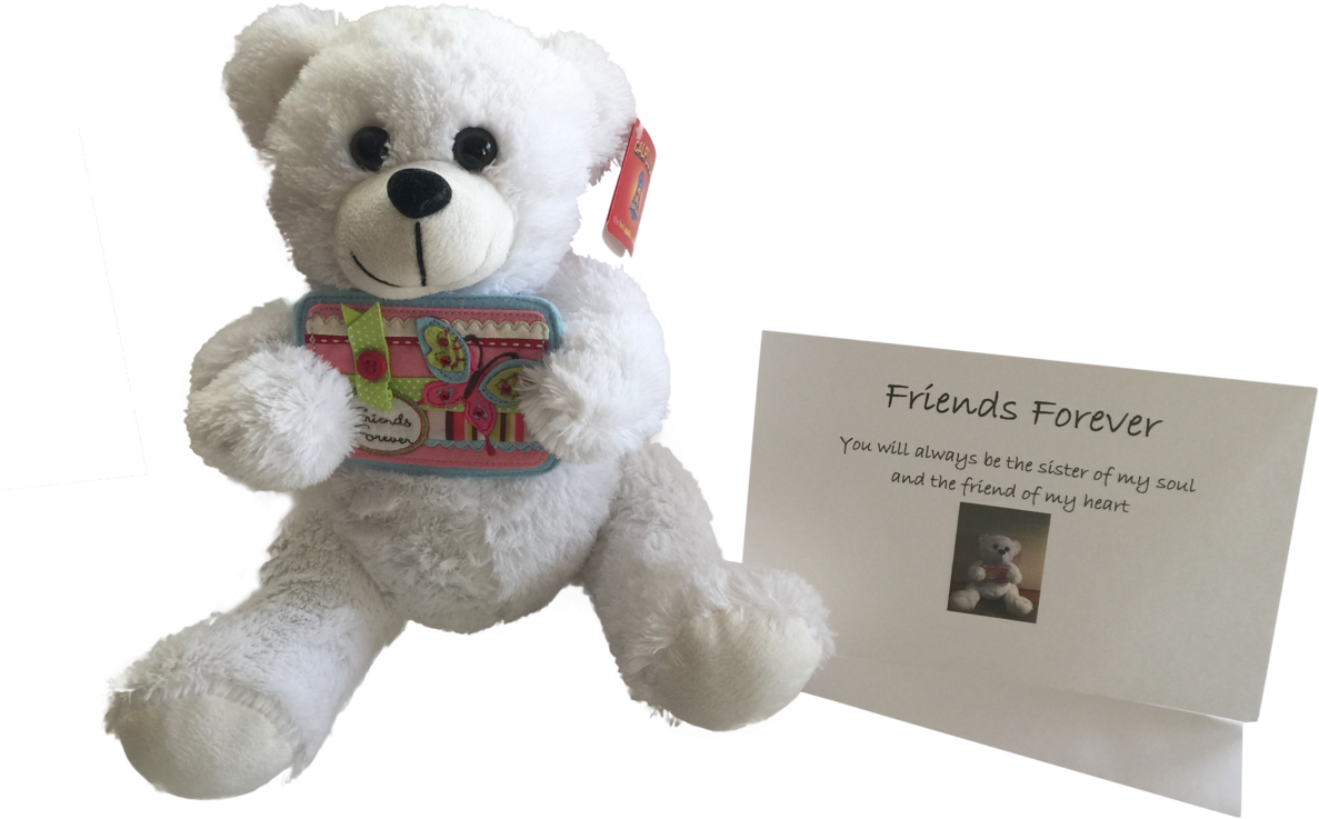 Friendship Teddy Bear 10" Plush "friends Forever" Chadillac - Stuffed Toy (1200x900), Png Download