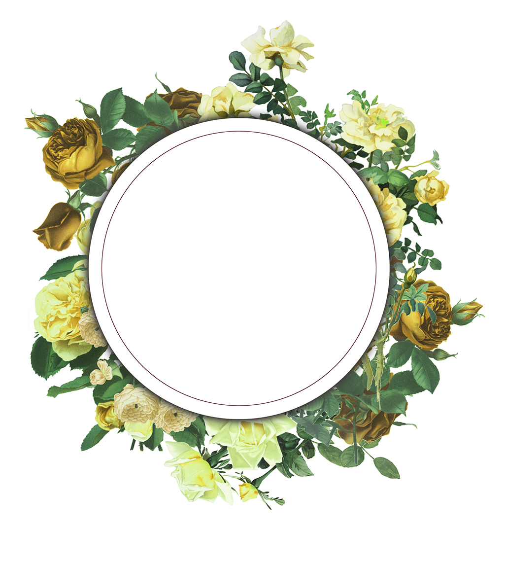 Download Vintage Floral Frame Collection Free To Download Vintage Floral Photo Frame Png Full Size Png Image Pngkit