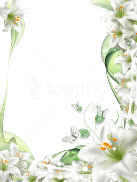 Free Png Best Stock Photos Photo Frame With White Lilies - Frame White Flowers Png (480x640), Png Download