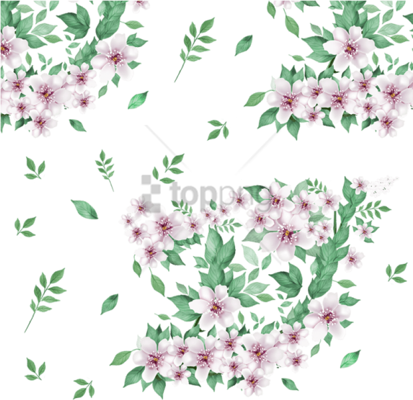 Free Png Download Flower Png Images Background Png - Vector Png Flower Leaf (850x823), Png Download
