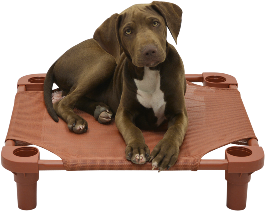 Clay Tweed Cot (1000x1000), Png Download
