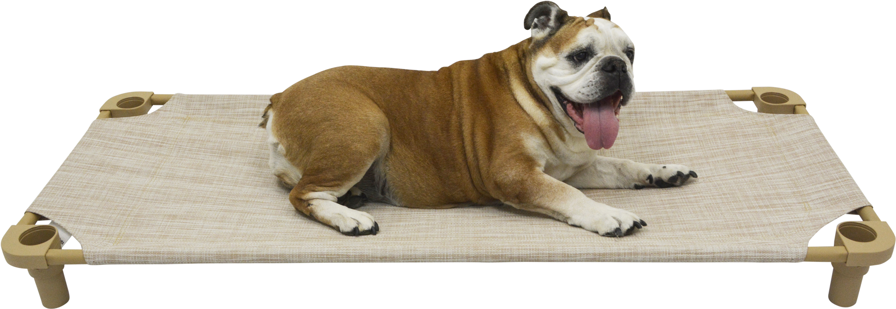 52×22 Premium Tweed Cot - Olde English Bulldogge (2000x2000), Png Download
