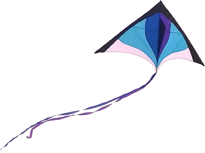 Kite Png (886x663), Png Download