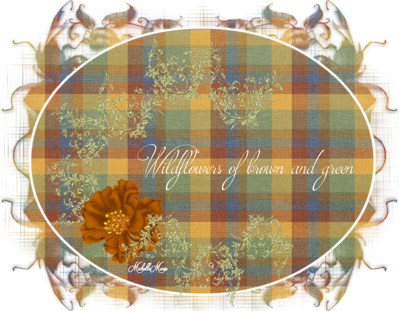 I Remember My Wildflowers That Bloom In The Spring - Tartan (810x630), Png Download