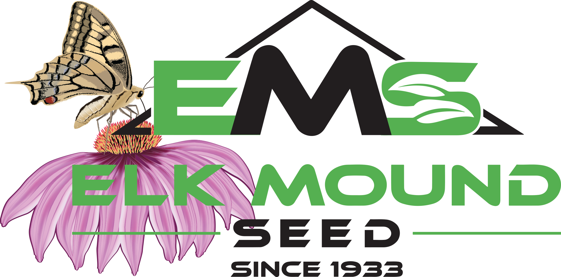 Elk Mound Wildflowers (2192x1082), Png Download