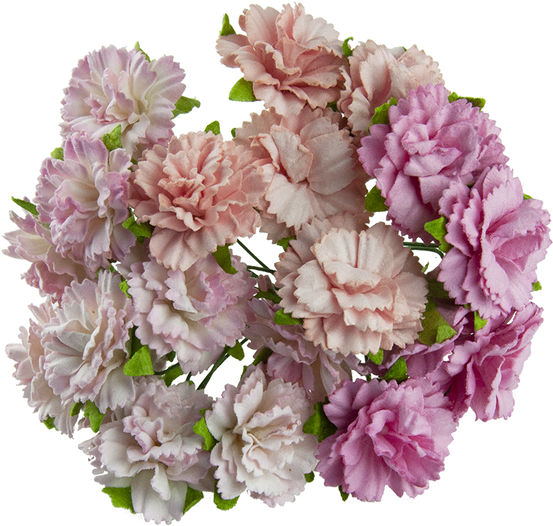 20 Mixed Pink Mulberry Paper Carnation Flowers - Goździki (800x800), Png Download