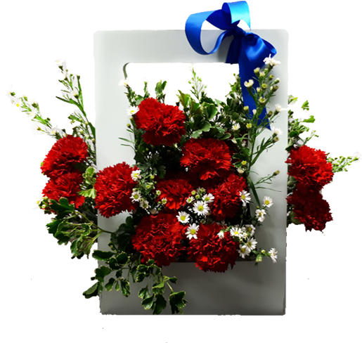 Carnation Box - Modele De Cosuri Cu 20 De Trandafiri (600x600), Png Download