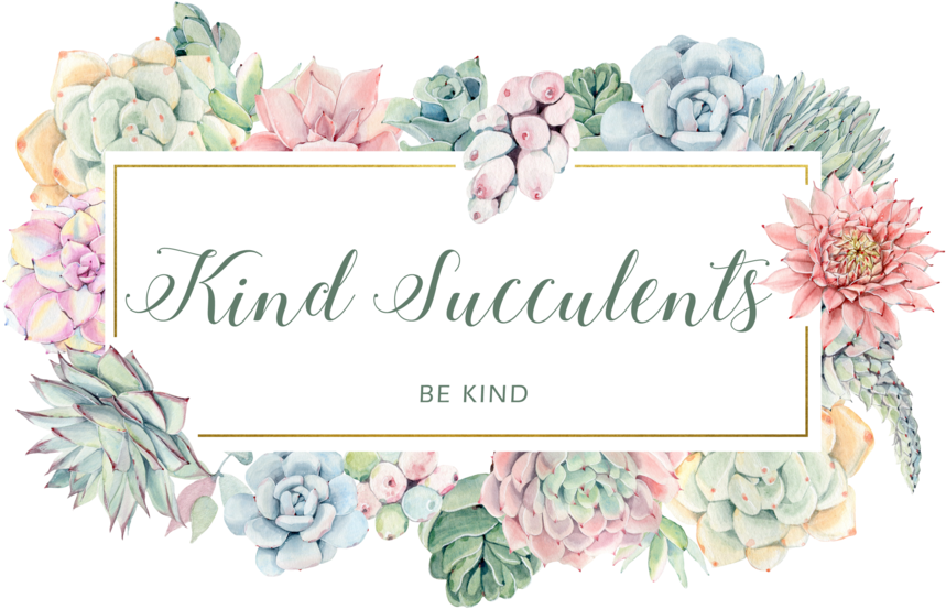 Kind Succulents - Garden Roses (900x585), Png Download