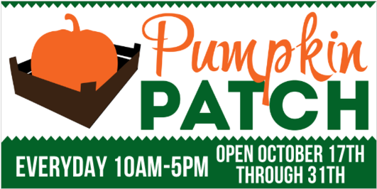 Blank Pumpkin Patch Vinyl Banner (560x560), Png Download