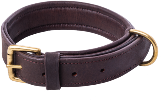 Dog Collar With Lining - Strap (760x760), Png Download