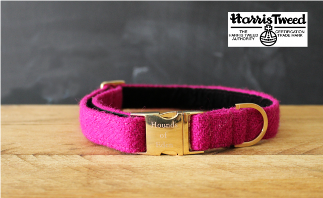 Boho Dog Collar Pink (640x640), Png Download