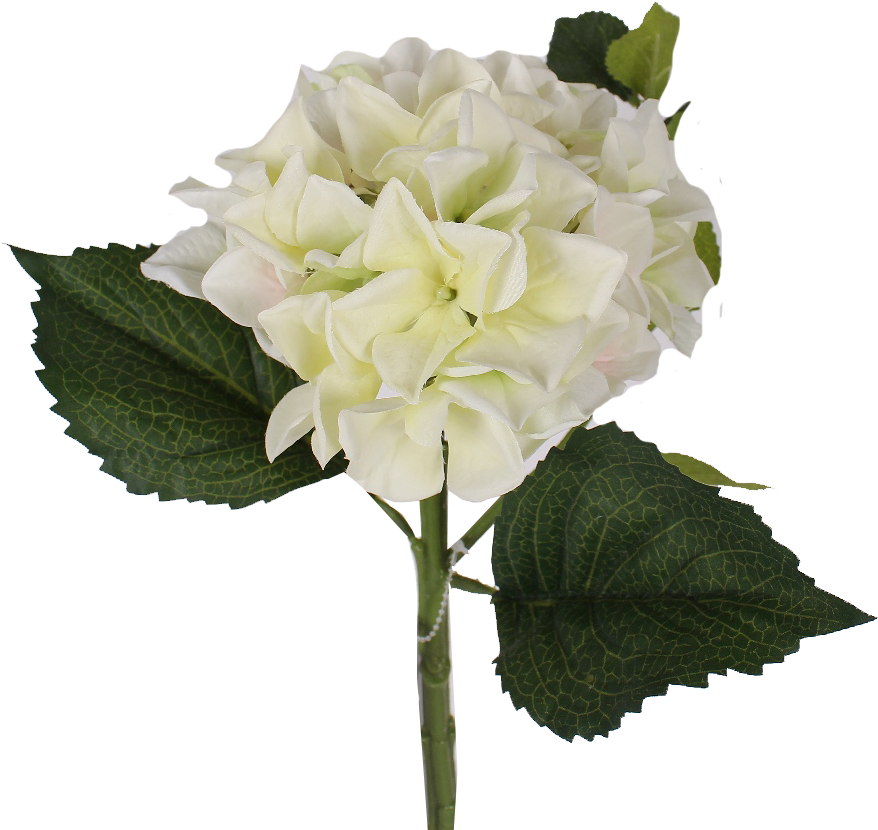 Download White Hydrangea Stem Artificial Flower Full Size PNG Image