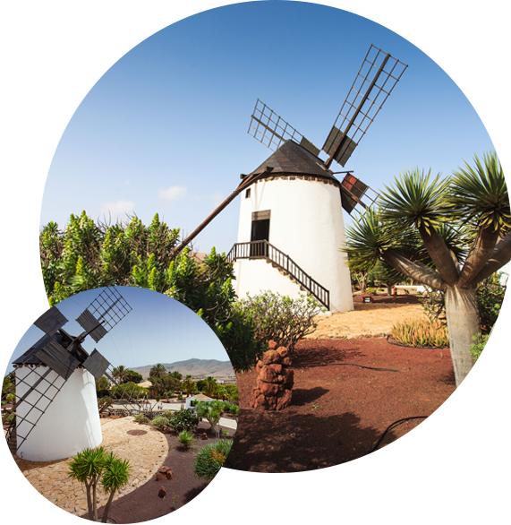 The Grains Can Be Of Different Cereals And The Grinding - Windmill (571x586), Png Download
