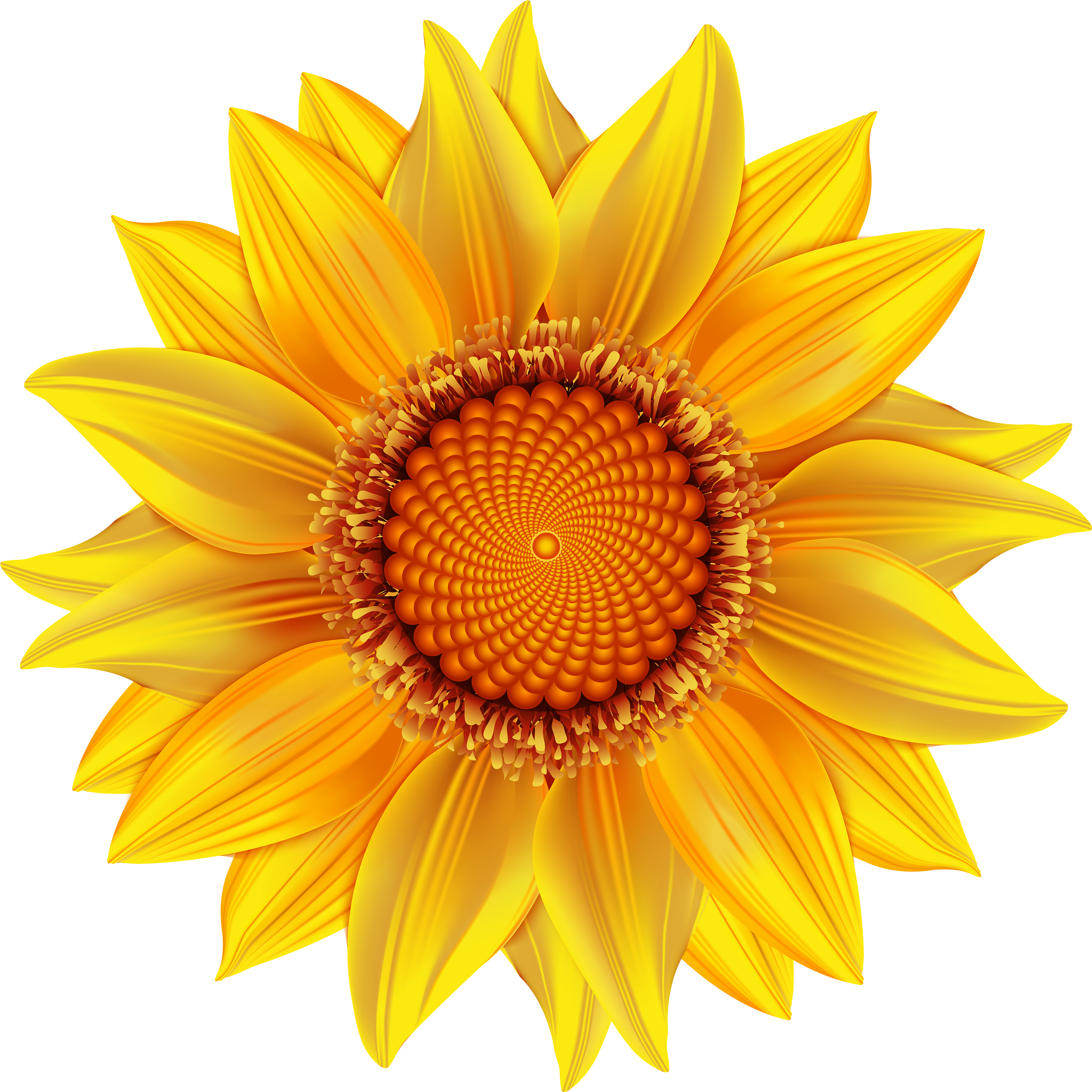 Yellow Flower Transparent Png Clip Art Image - Sun Flower Png Hd (4000x4000), Png Download