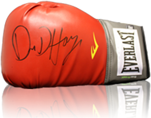 David Haye Signed Boxing Glove - Everlast (650x665), Png Download