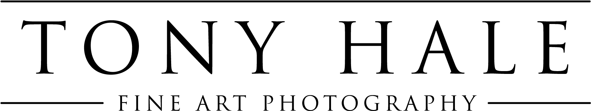 Clip Art (2000x523), Png Download