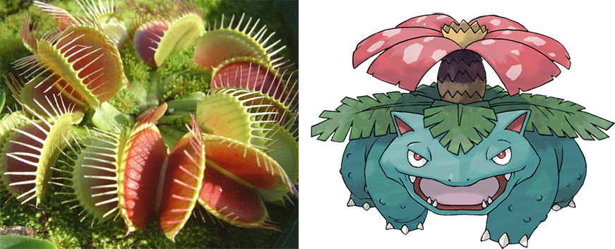 View 1520536419018 , - Pokemon Venusaur (871x353), Png Download