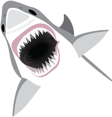Great White Shark By Antique Images - Shark Attack (600x600), Png Download