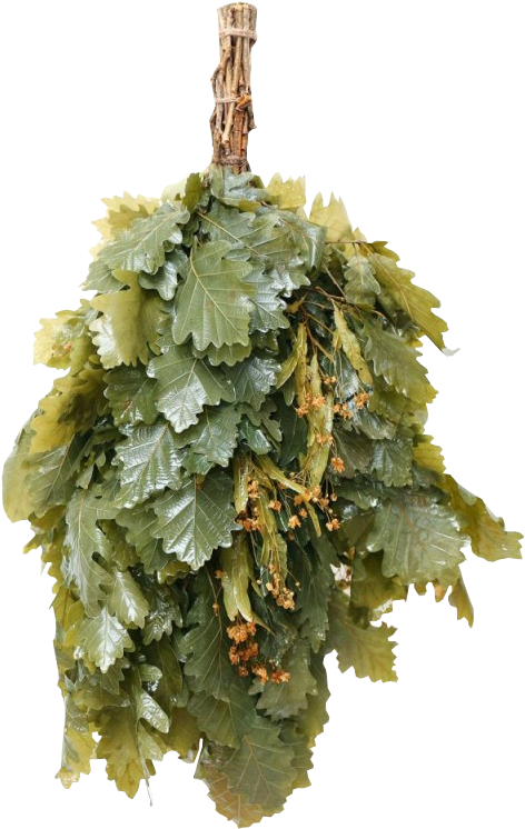 Sauna (800x800), Png Download