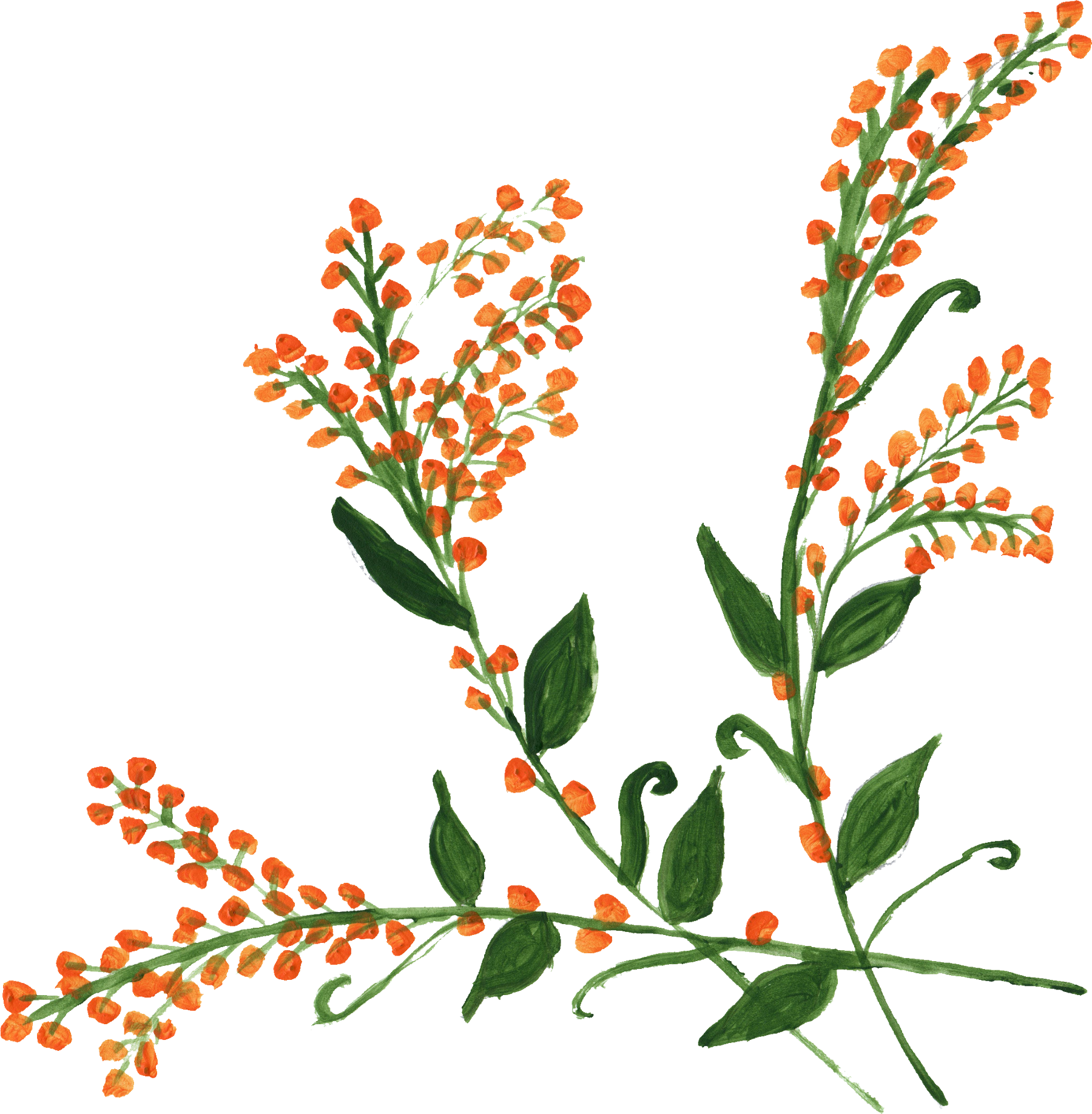 Download Free Download - Full Size PNG Image - PNGkit