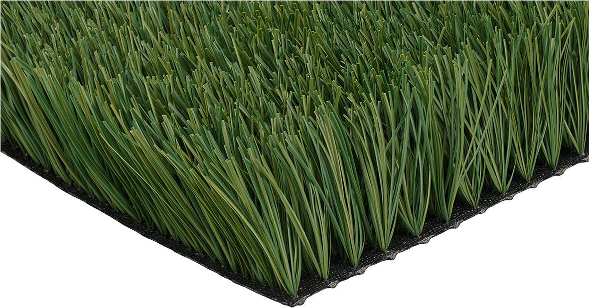 Ccgrass Artificial Grass Product Monofilament Grass - Chrysopogon Zizanioides (1181x664), Png Download