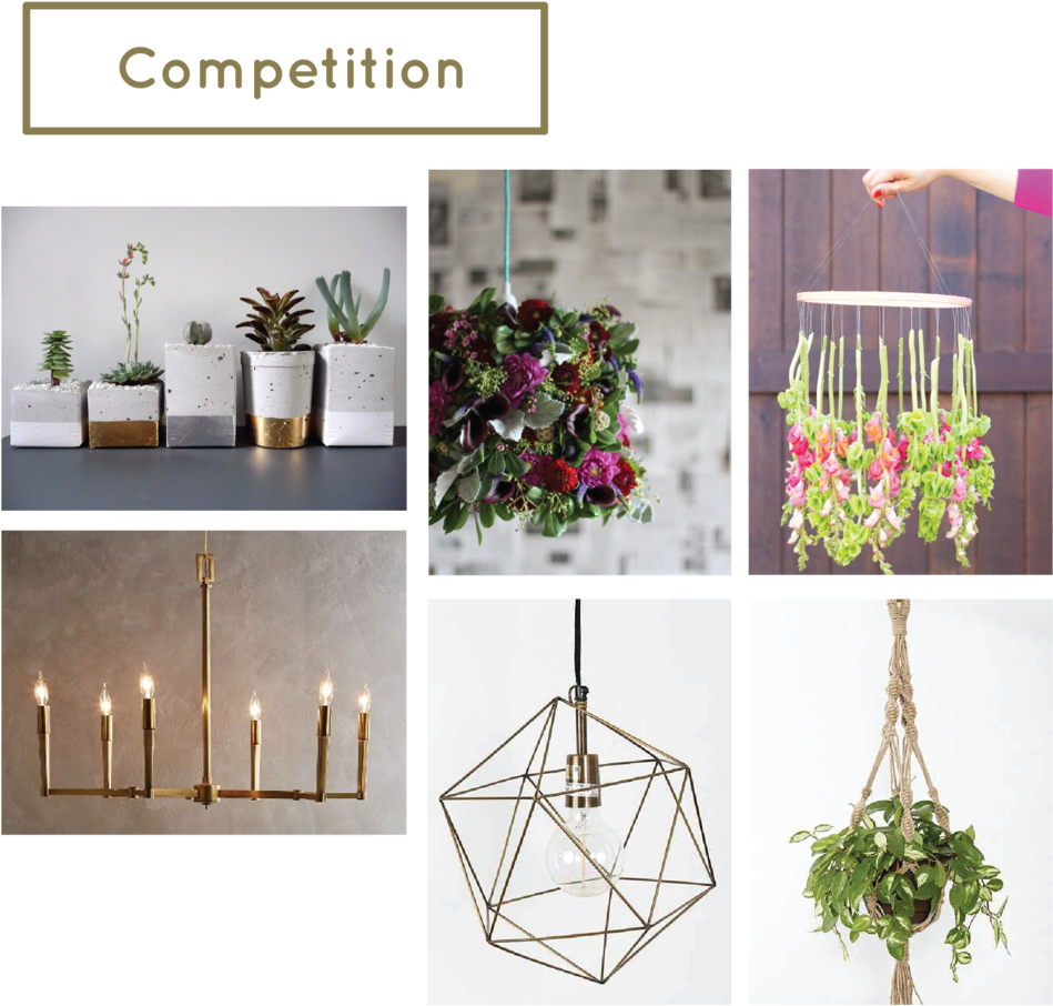 Stem-competition - Cut Flowers (1000x970), Png Download